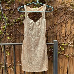 Arden B Dress